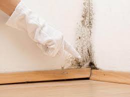 Best Attic Mold Removal in Chowchilla, CA